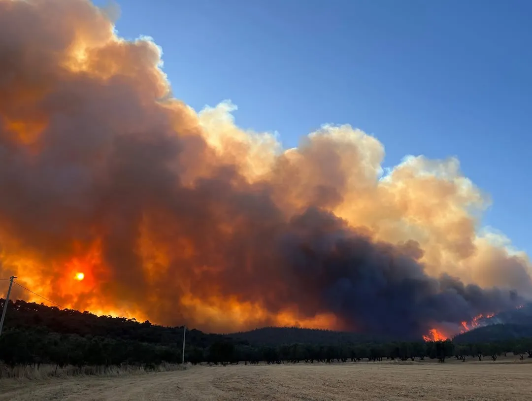 Incendiul de pădure din Izmir nu poate fi localizat deja de două zile