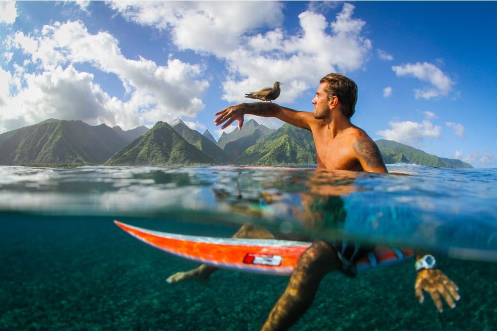 фотосессия, national geographic