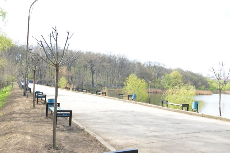 Chișinăul s-a îmbogăți cu peste 15 mii de arbori și arbuști