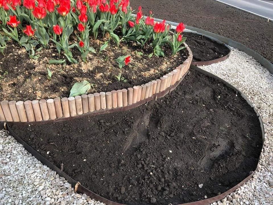 Неизвестные срезали тюльпаны, высаженные на клумбах на улице Албишоара