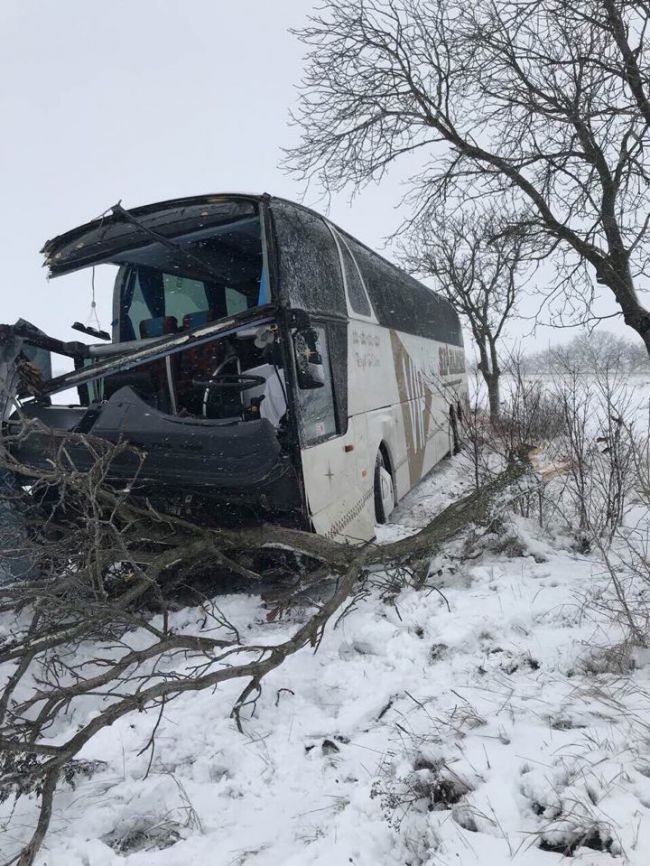 В Фалештском районе рейсовый автобус вылетел в кювет и врезался в дерево