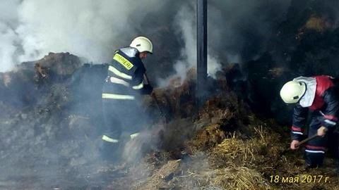 В Теленештах пожарные спасли 250 коров