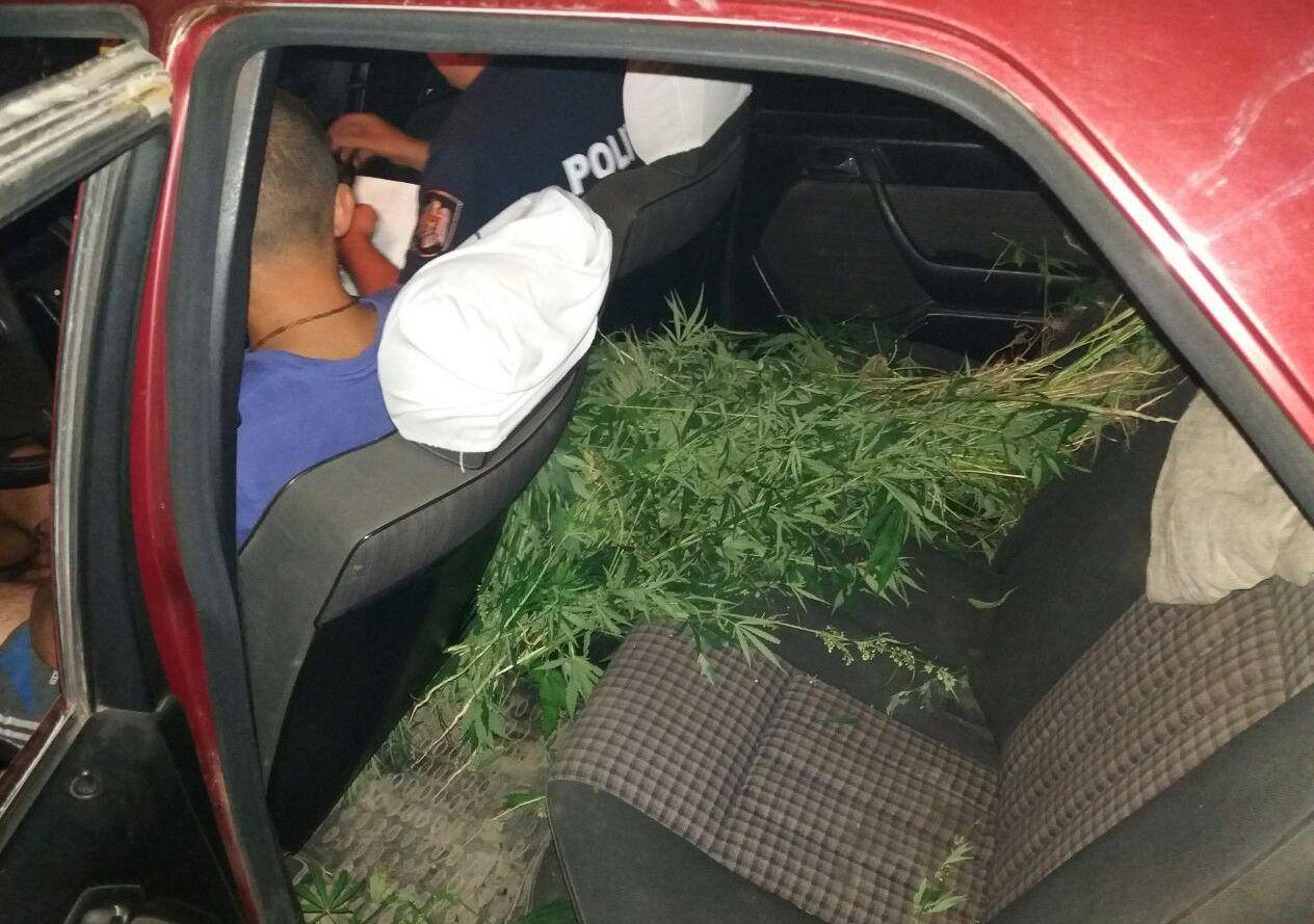 авто в конопле авто в конопле