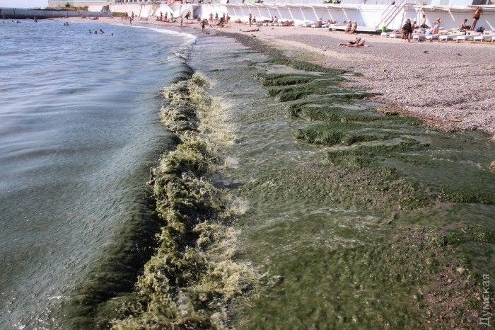 В Одессе после ливня море стало бурого цвета