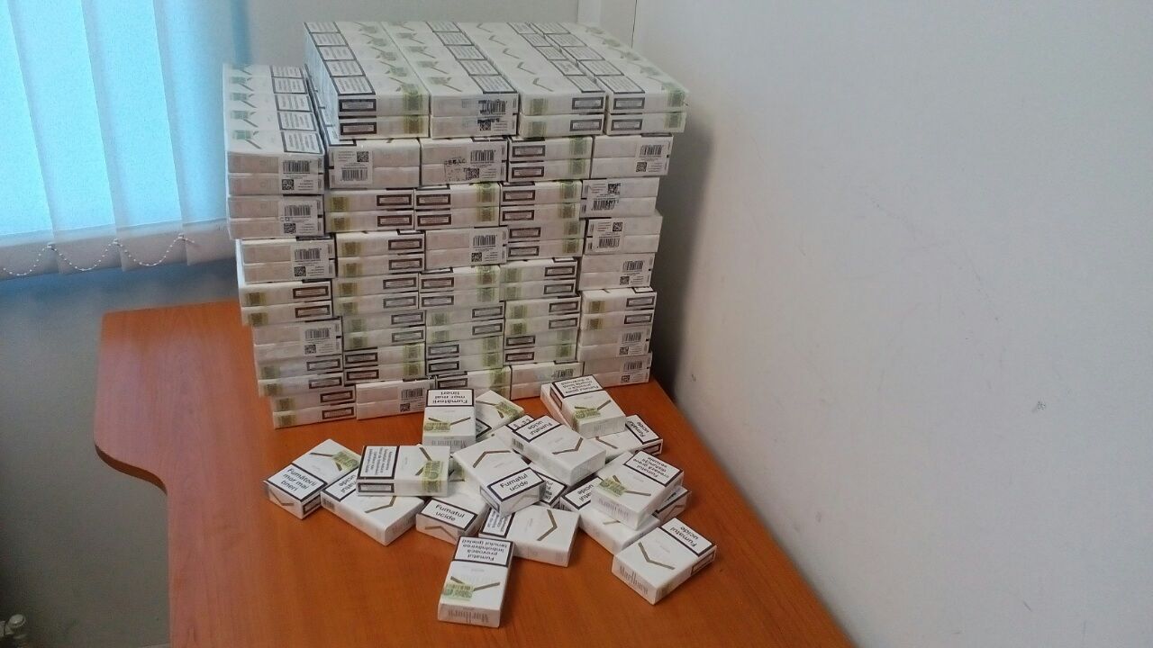 Служебный пес Кишиневского аэропорта обнаружил в багаже британца контрабанду