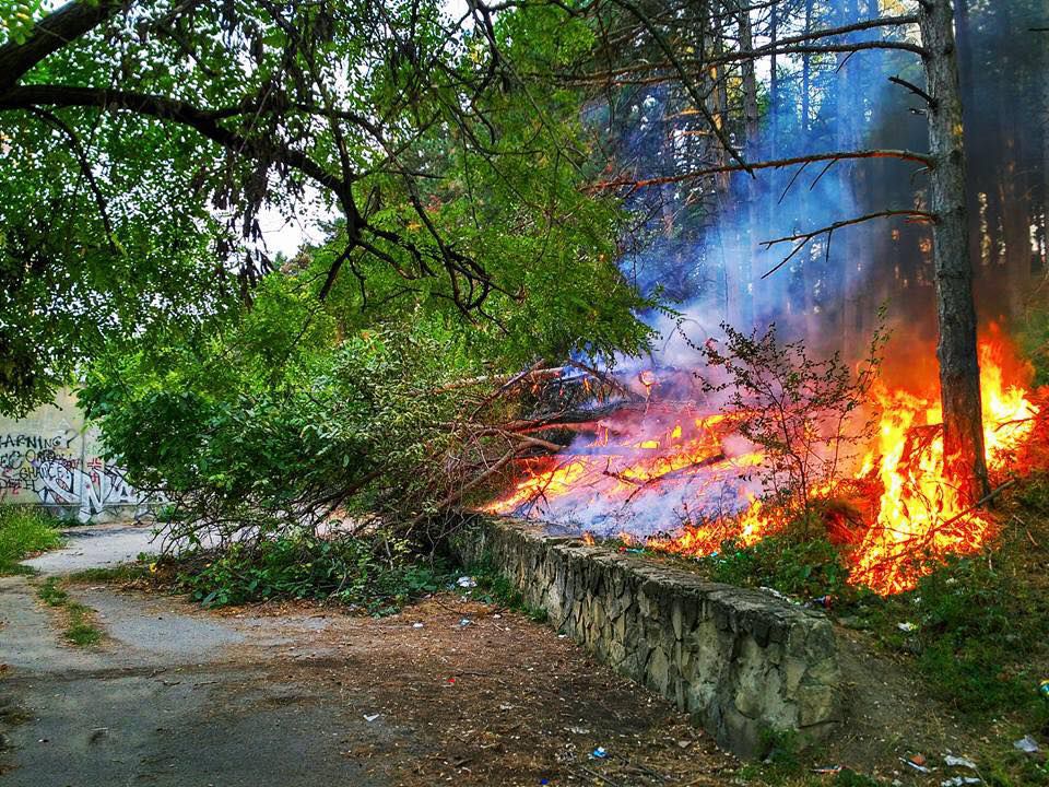 В столичном парке "Валя Морилор" произошел пожар