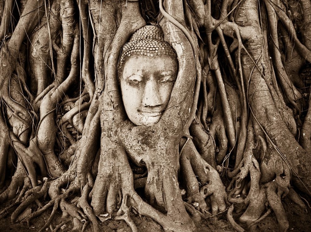 фотосессия, national geographic