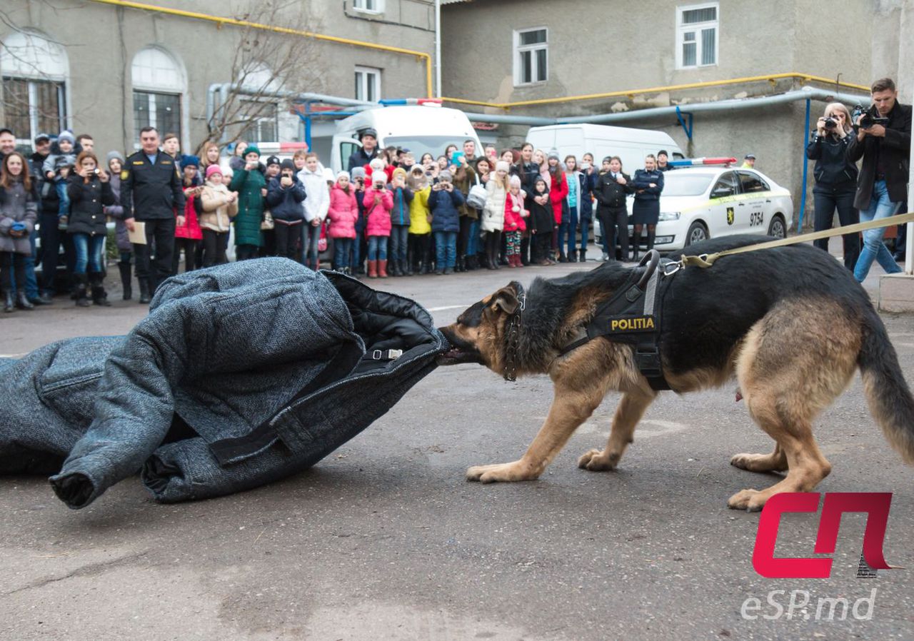 В Бельцком инспекторате полиции провели День открытых дверей