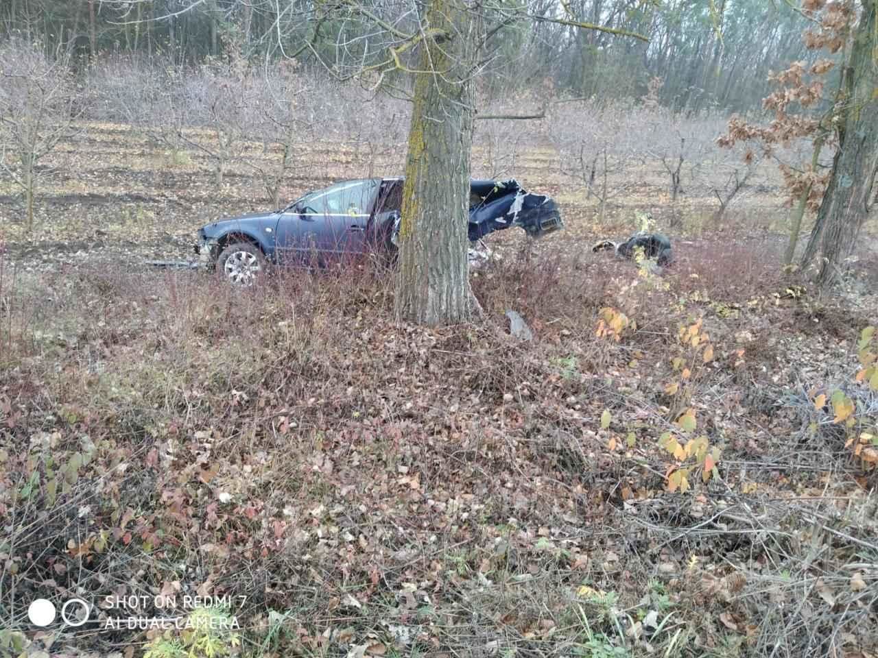 В Окницком районе после столкновения автомобиля с деревом погиб пассажир
