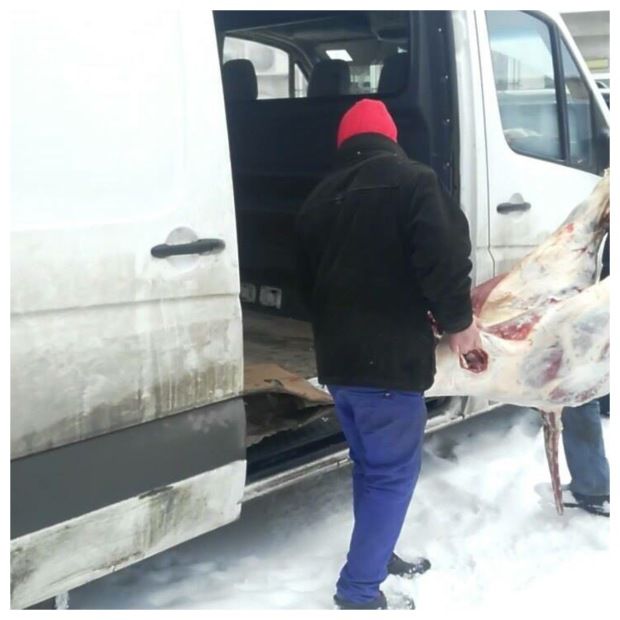В Теленештах полицейские конфисковали у экономического агента 800 кг мяса