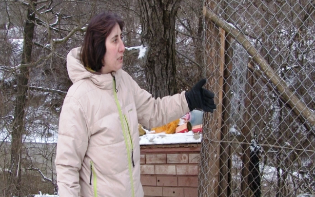 Bărbat surprins de camere de supraveghere în timp ce dă foc unui adăpost de câini