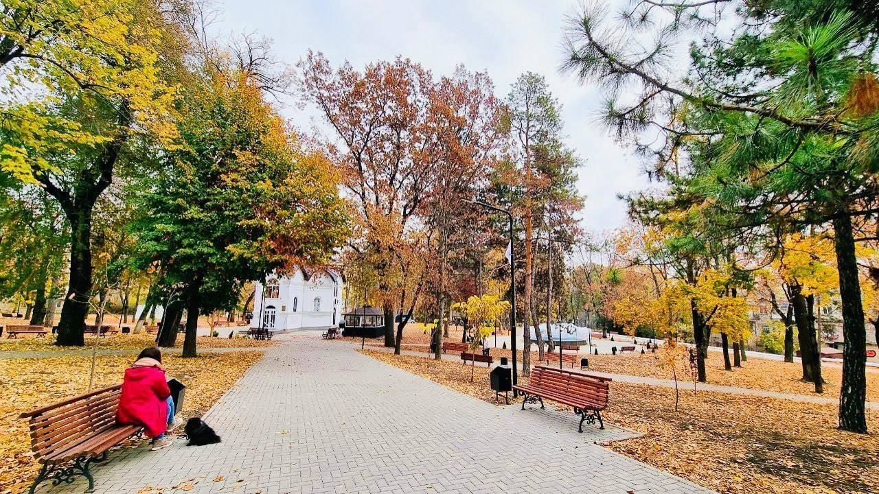 В сквере на Рышкановке продолжаются восстановительные работы