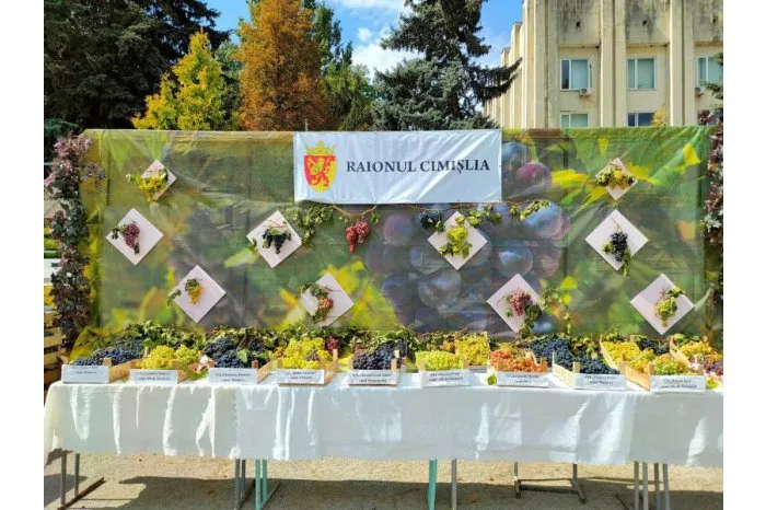 В Чимишлии прошел восьмой Национальный фестиваль винограда