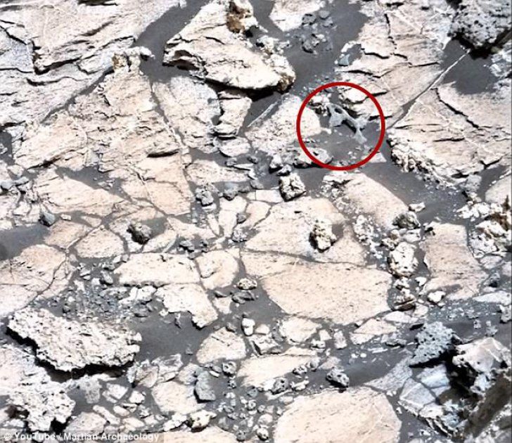 "Oase de extratereștri", fotografiate pe planeta care a creat o isterie la NASA