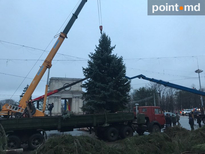 На центральной площади Кишинева установили новую елку