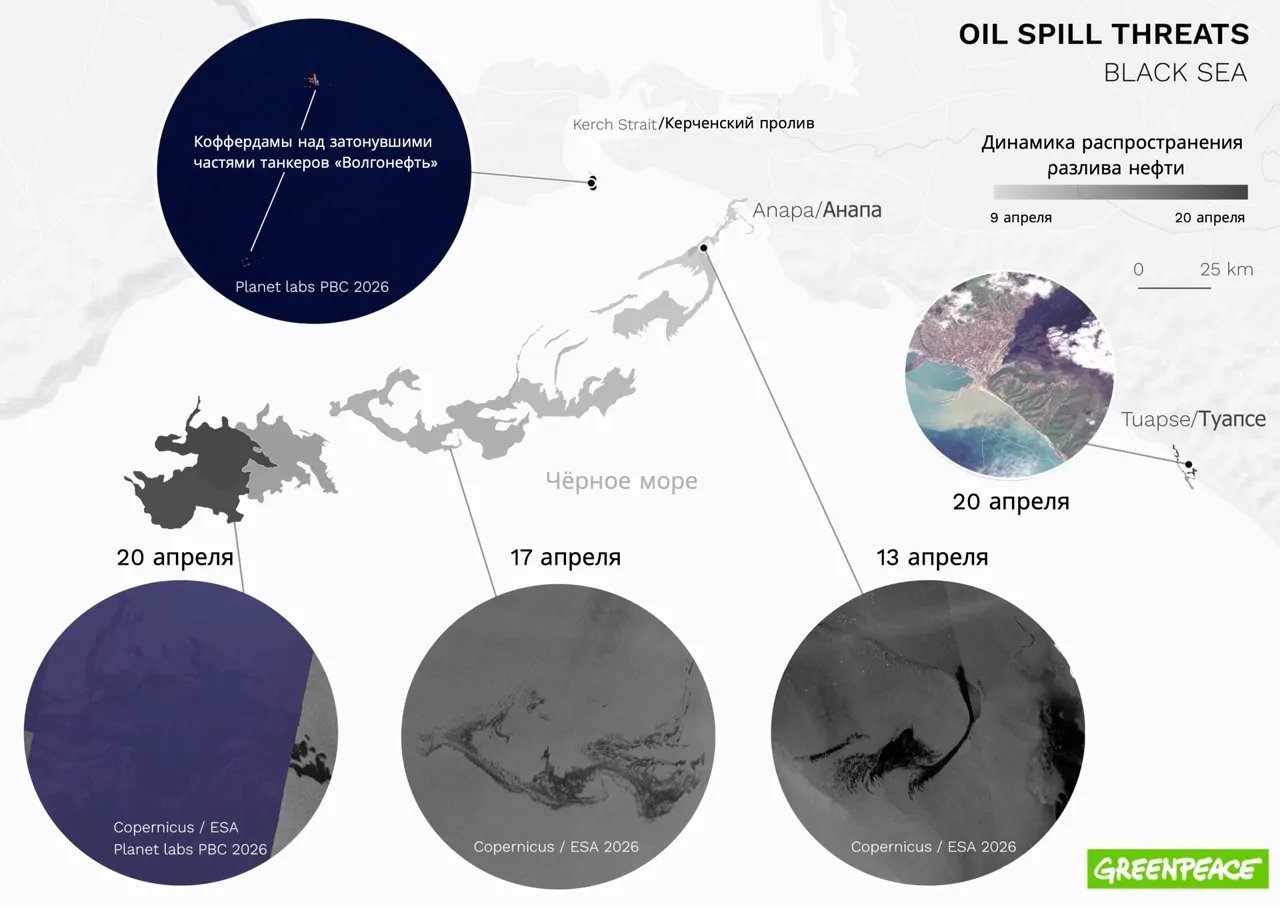 Greenpeace: Площадь нового загрязнения Черного моря за неделю достигла 1 000 кв. км