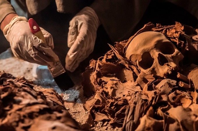 The Independent: Craniile de 300.000 de ani care ar putea rescrie istoria originilor omului