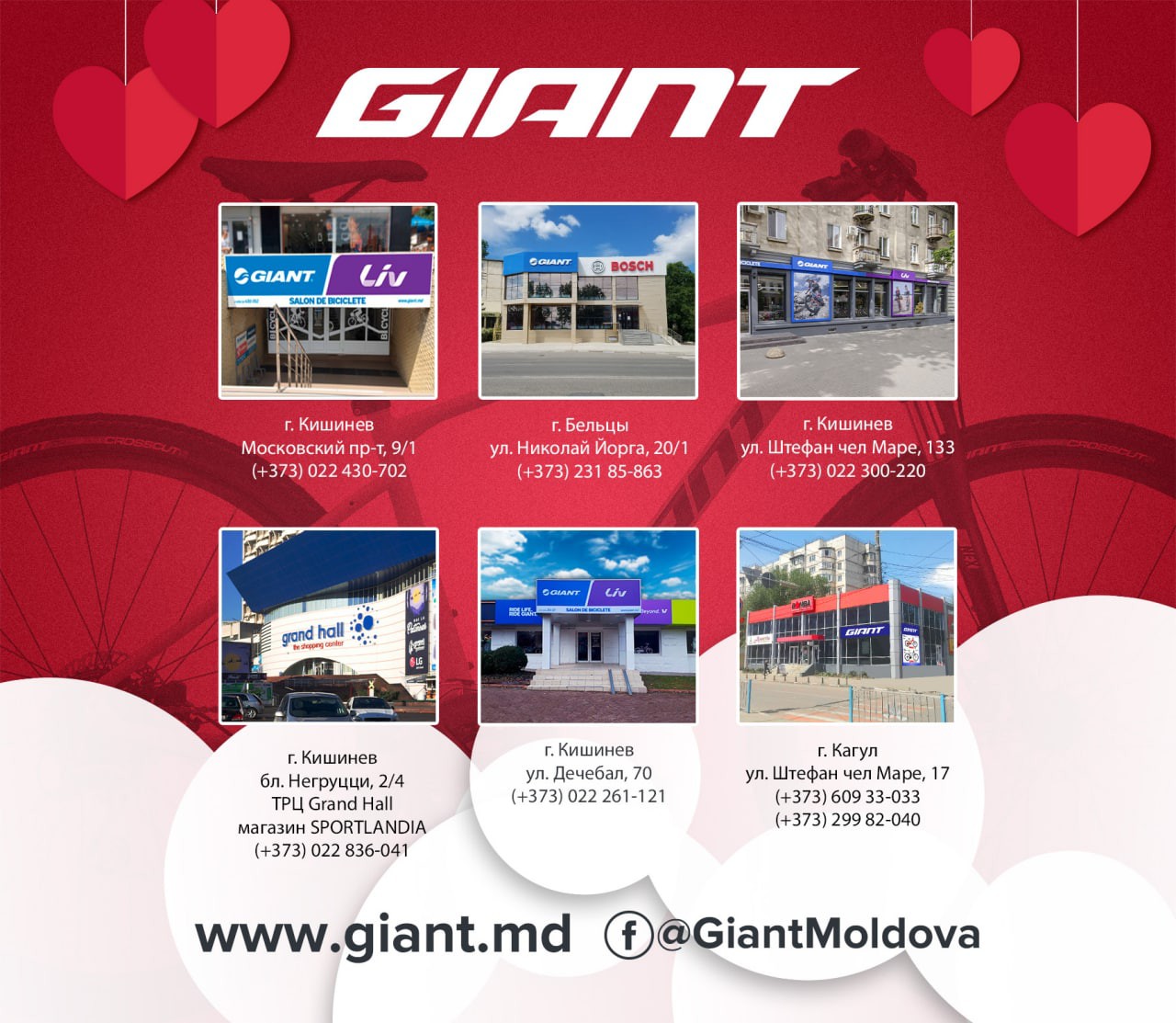 Giant: Беспроцентная рассрочка всего за пару минут