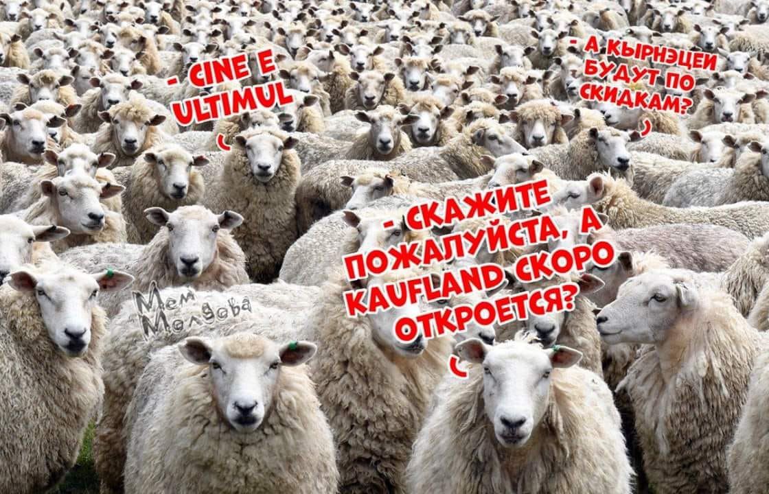 Интернет-пользователи активно комментируют открытие магазинов Kaufland