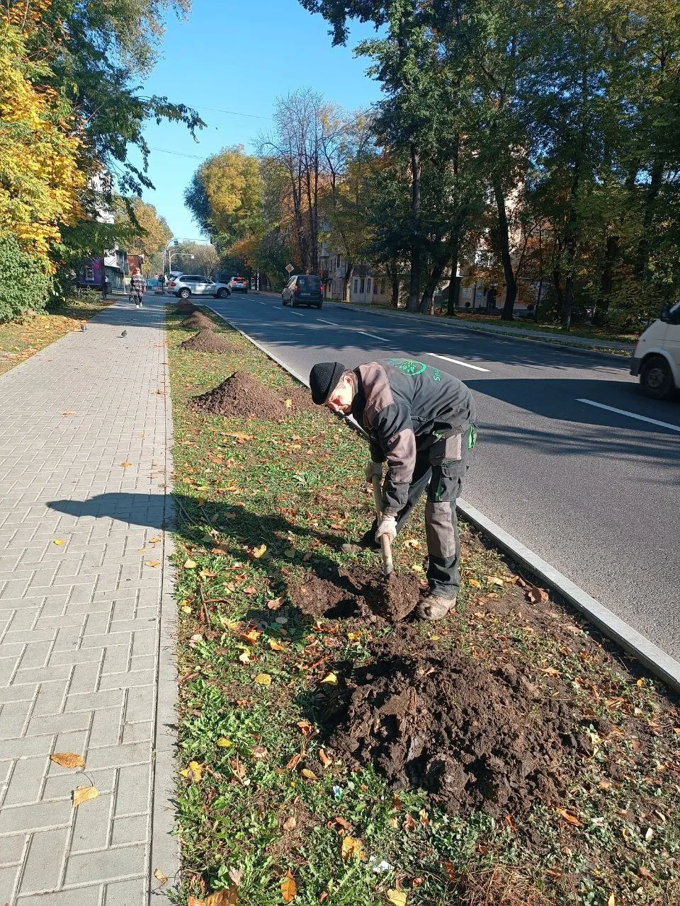 Campania de plantare continuă: Mii de arbori și arbuști vor fi sădiți în Capitală