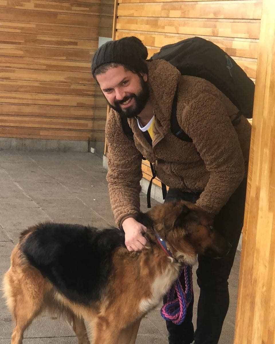 Пес нового президента Чили по кличке Брауни завел аккаунт в Instagram