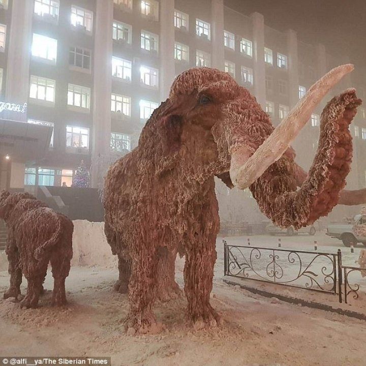 În oraşul Oymyakon din Siberia a fost înregistată o temperatură de minus 62 de grade Celsius