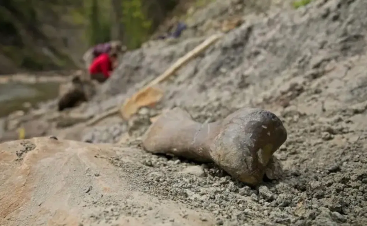 Oamenii de știință sunt mai aproape de rezolvarea misterului îngropării masive a dinozaurilor la Râul Morții