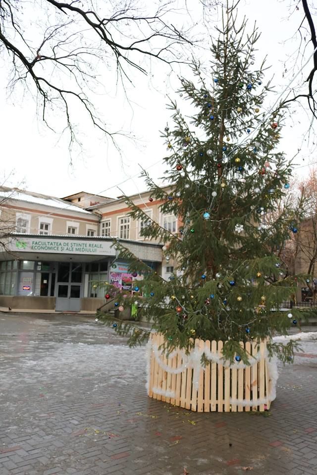 В Бельцком университете впервые состоялось открытие рождественской ели