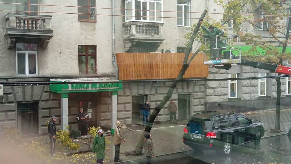 Un copac stă să cadă pe strada Vasile Alecsandri, dar s-a „oprit” într-o Toyota Land Cruiser
