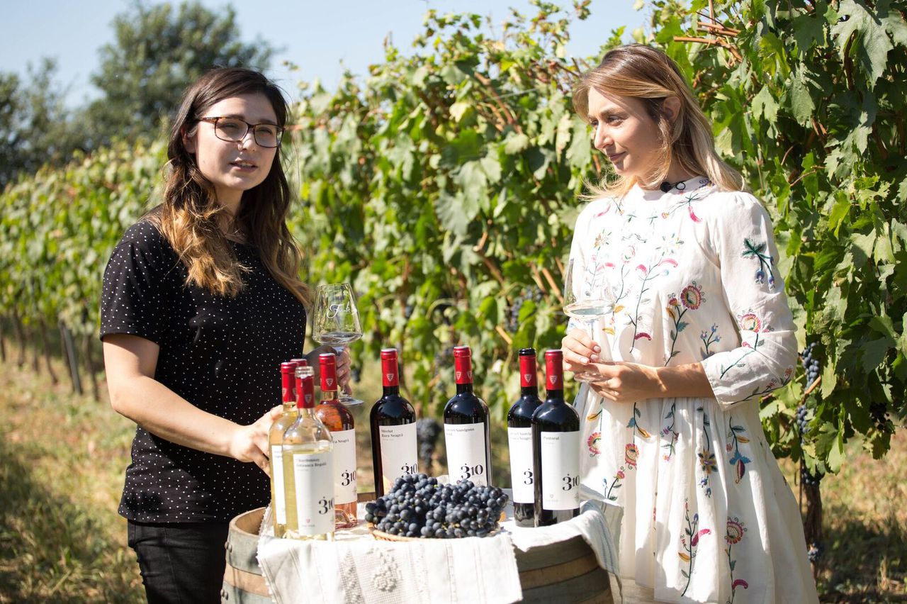 Fautor Winery” запускает новую серию вин — 310 Altitudine ®