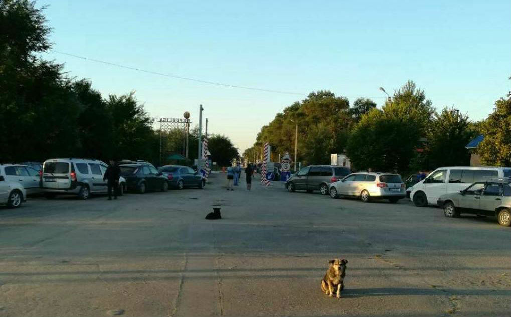 Движение автомобилей из Молдовы заблокировал сбой в работе украинской стороны