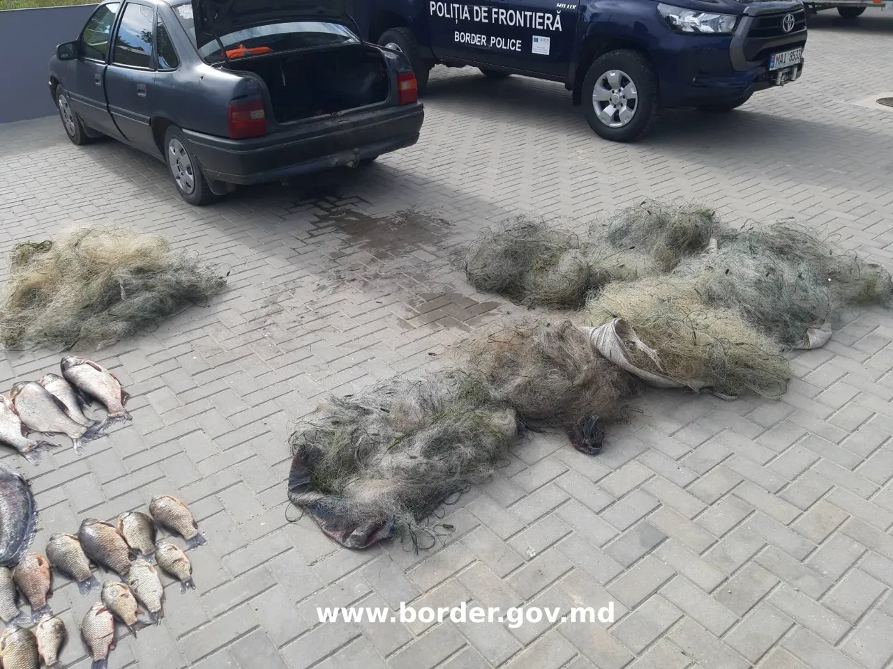 Двум рыбакам грозит штраф в размере более 160 тысяч леев за браконьерство