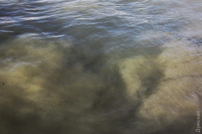 В Одессе после ливня море стало бурого цвета