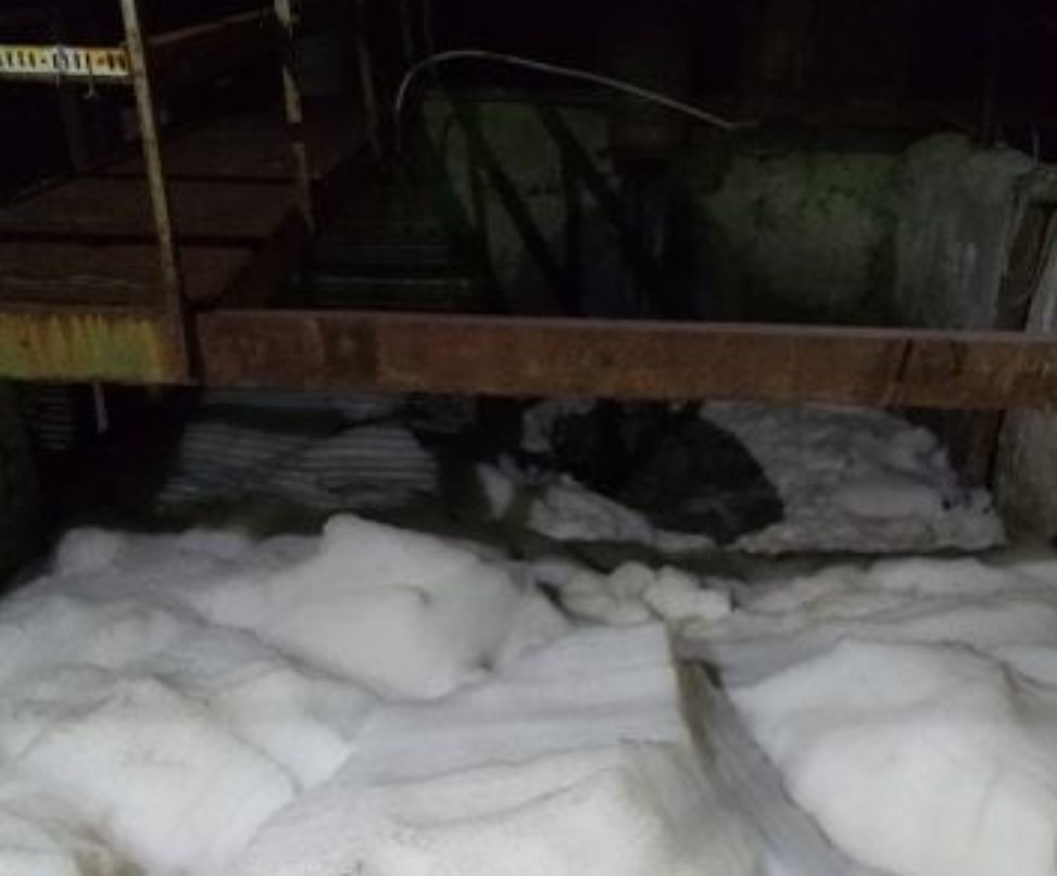 Apă-Canal: Ситуация с неприятным запахом политически срежиссирована