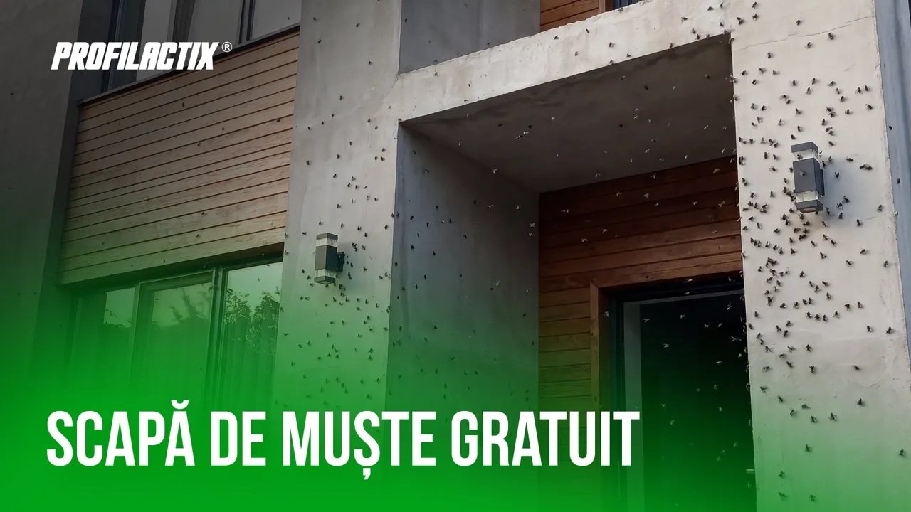 Profilactix: Scapă de muște gratuit