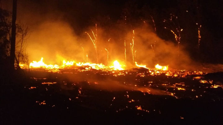 Incendiu puternic la Cimitirul Sfântul Lazăr din Capitală