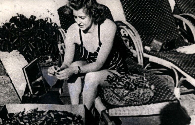 В Англии выставлен на аукцион альбом с личными фотографиями Гитлера