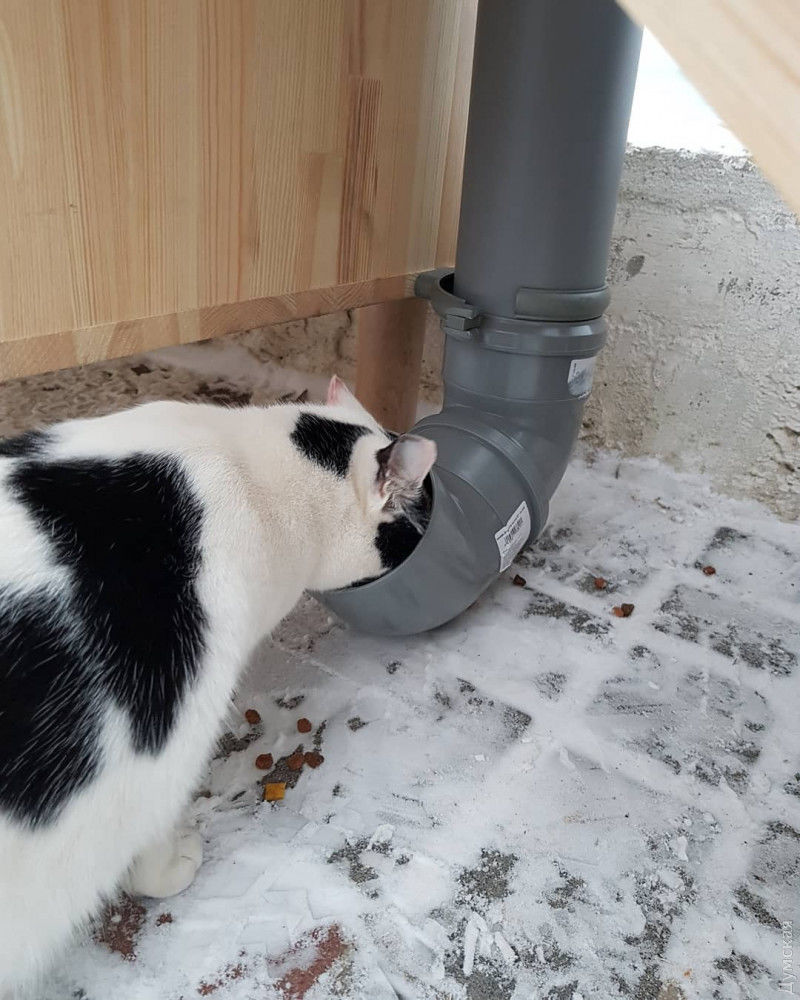 В Одессе на пляже построили двухэтажный дом для котов