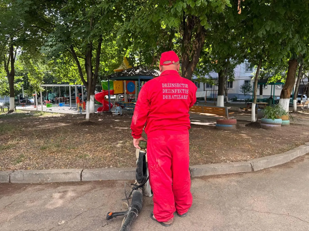 В подвалах 2 500 домов Кишинева началась борьба с грызунами и насекомыми