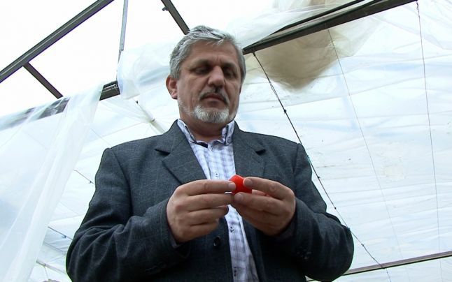Ce a găsit un bărbat în nişte roşii toxice, cumpărate înainte de Paşte