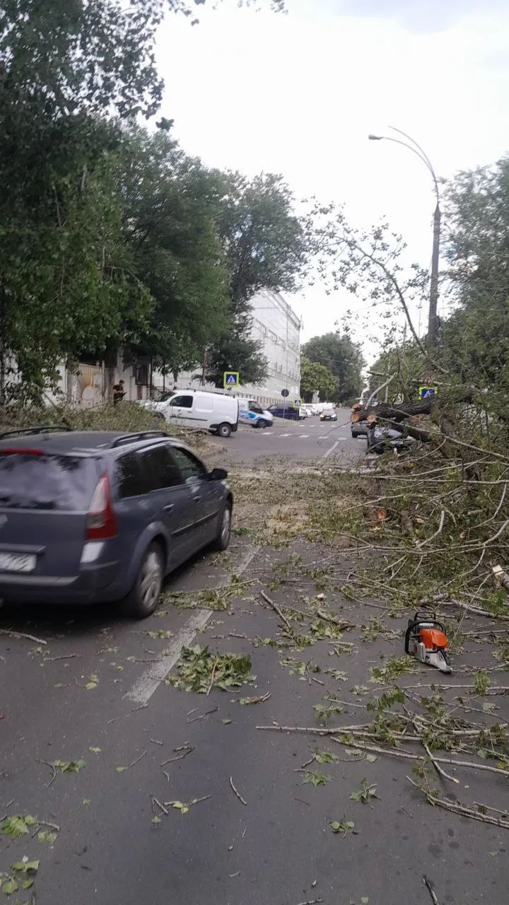 Consecințele furtunii în Capitală: Crengi rupte și copaci doborâți