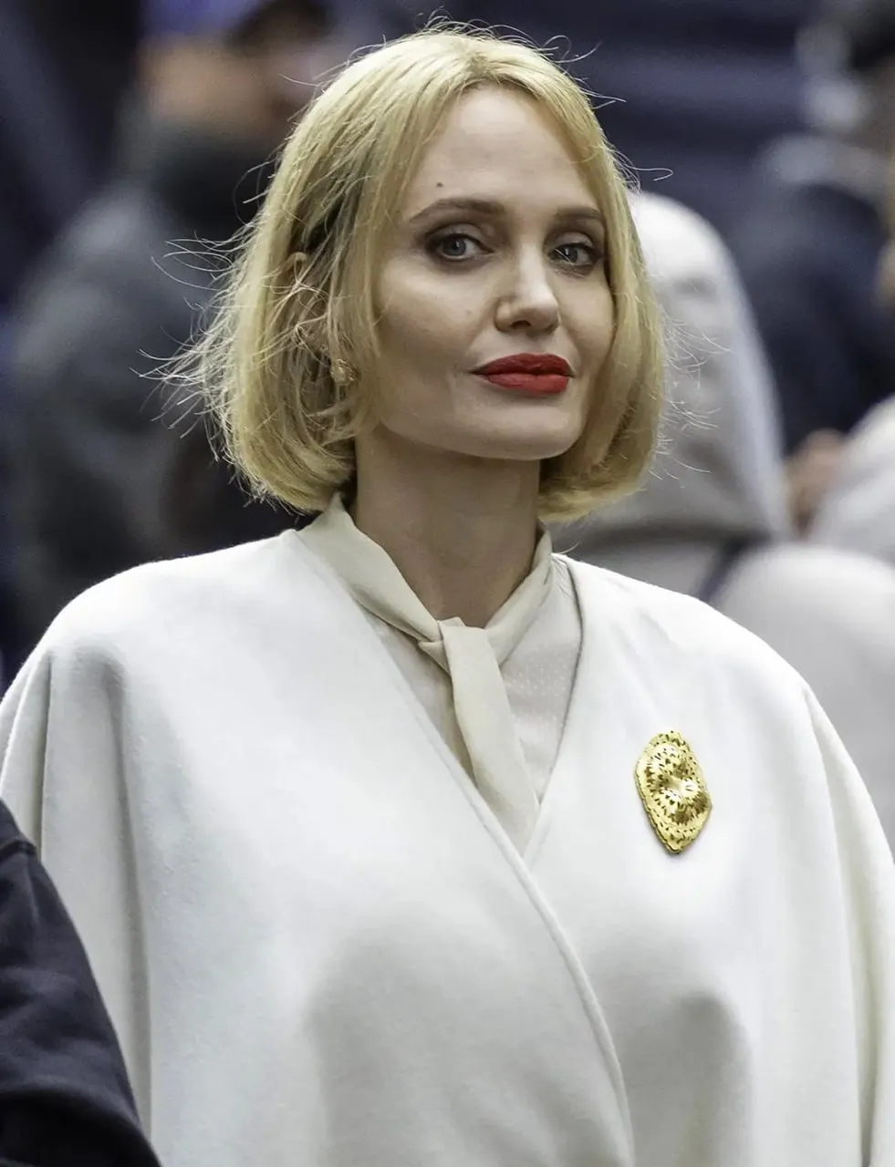 Анджелина Джоли вышла на публику с кардинально новым имиджем