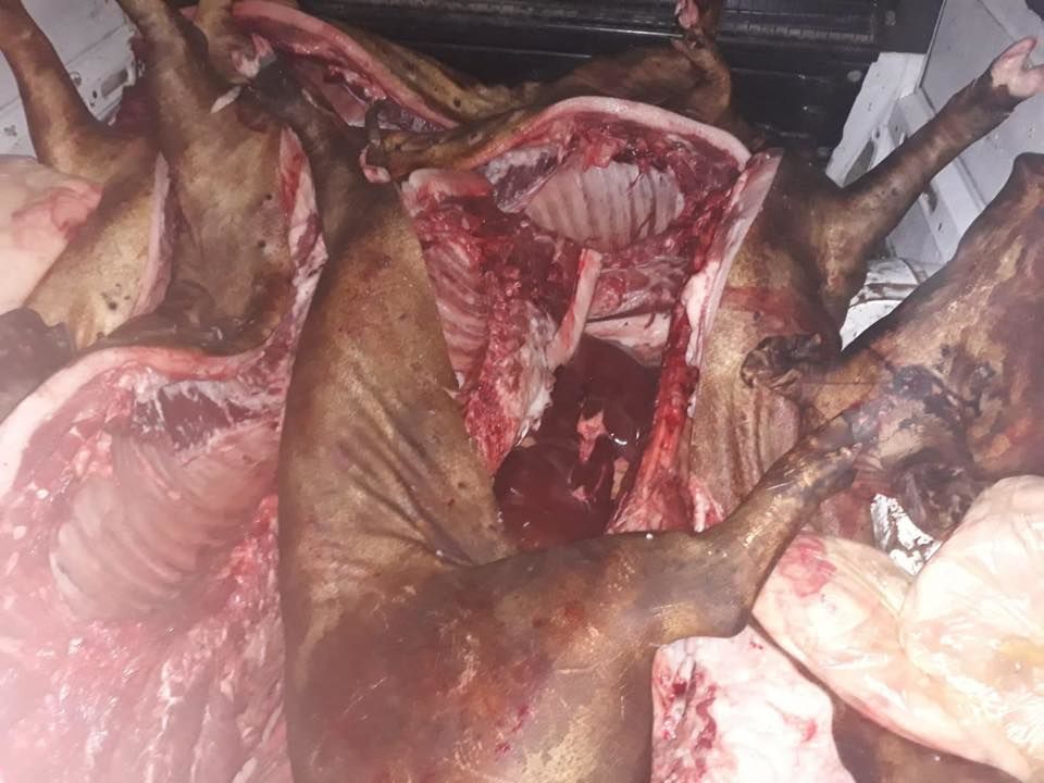 Опасные мясо и рыба могли попасть на Центральный рынок Кишинева