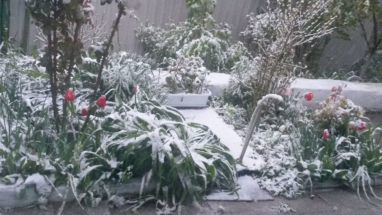 Ninsoare, vânt puternic și viscol în aprilie ca la mijloc de ianuarie! Scoatem hainele de iarnă