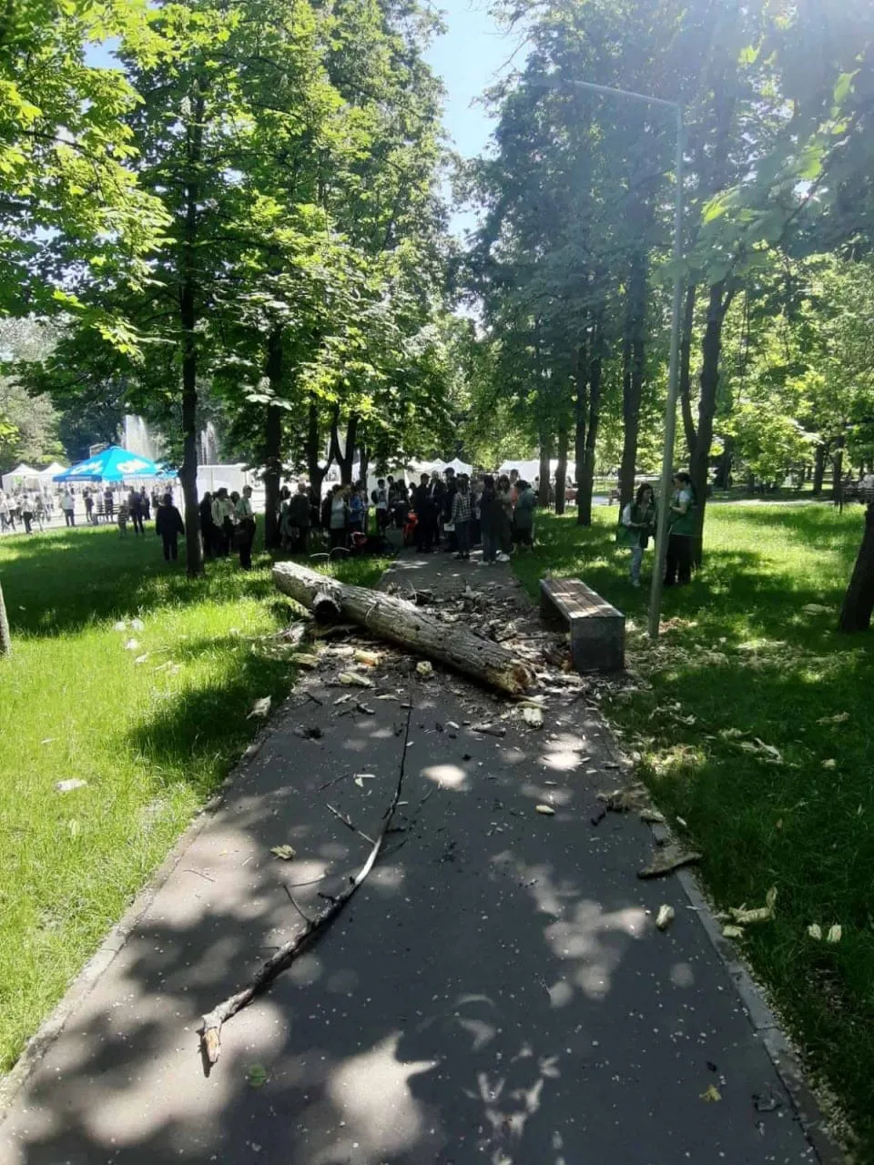 Чебан: Сегодняшняя трагедия огорчила и потрясла всех