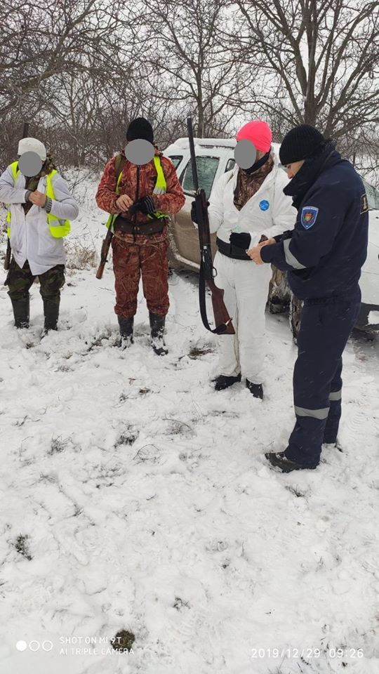 Браконьеры, охотившиеся на севере страны, получили штрафы
