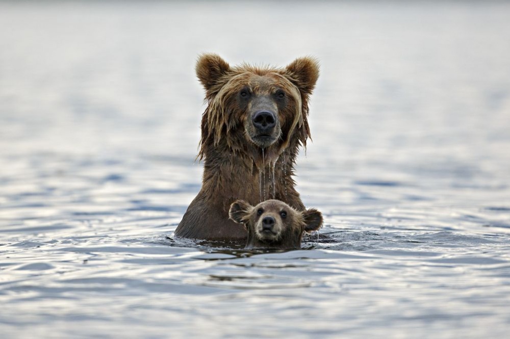фотосессия, national geographic