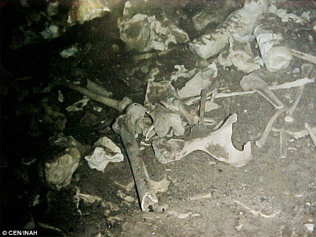 Ученые восстановили внешность женщины майя, погибшей 14 000 лет назад