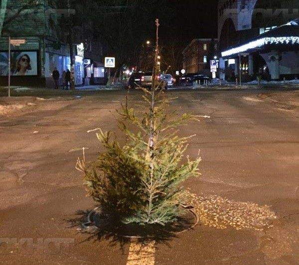 В Кишиневе дорогу «украсили» елкой