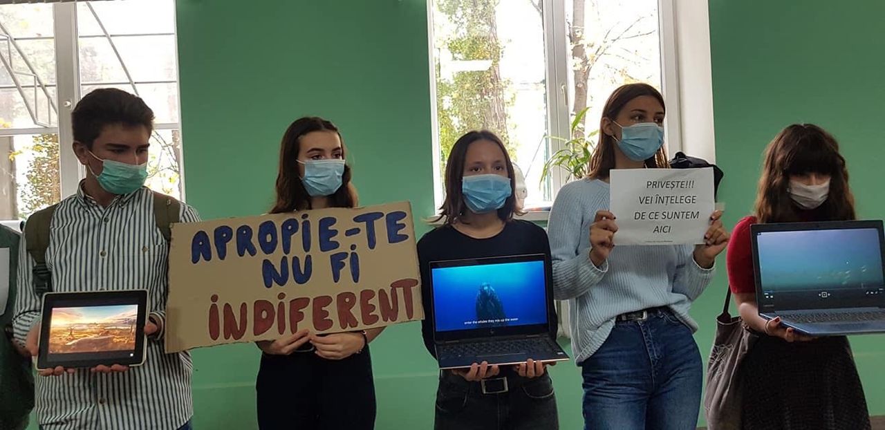 В Кишиневе студенты протестовали против жестокого обращения с животными